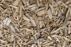 biomass boilers Thornton Rust